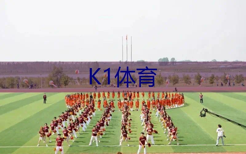 威尔逊网球拍黑色和蓝色