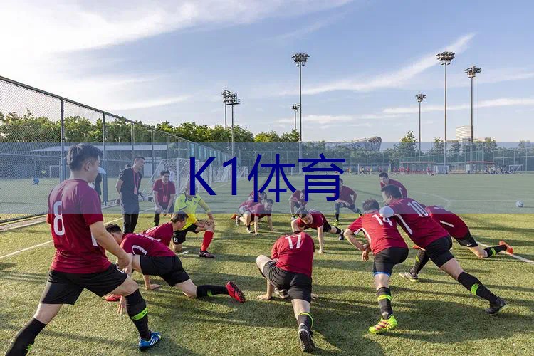 网球拍里面像木头的叫什么