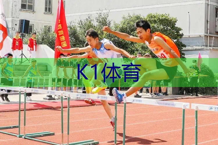 邓禄普95网球拍