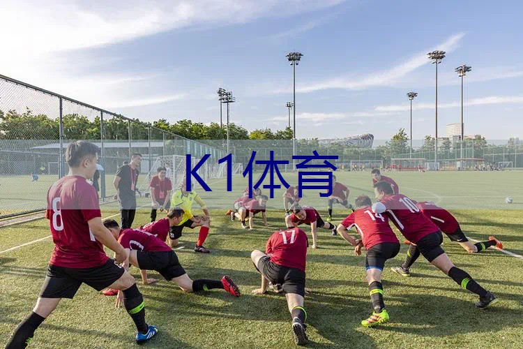 百保力网球拍海淘