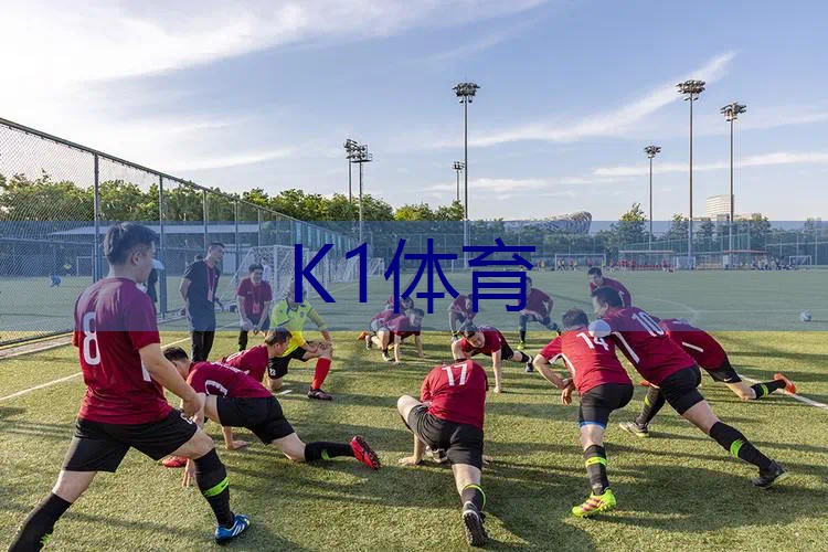 暗夜黑骑士网球拍价格
