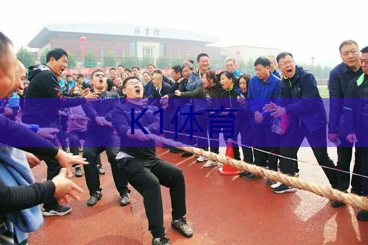 双反进攻型网球拍有哪些