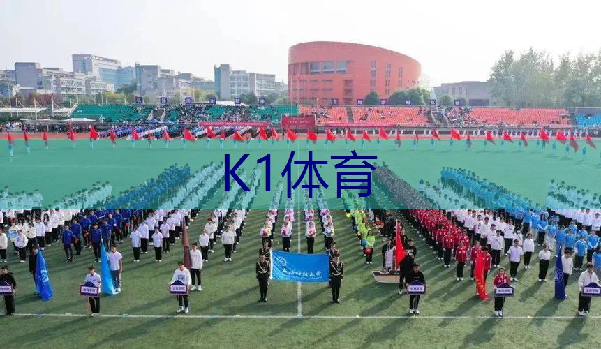 网球拍固定约束装置图解